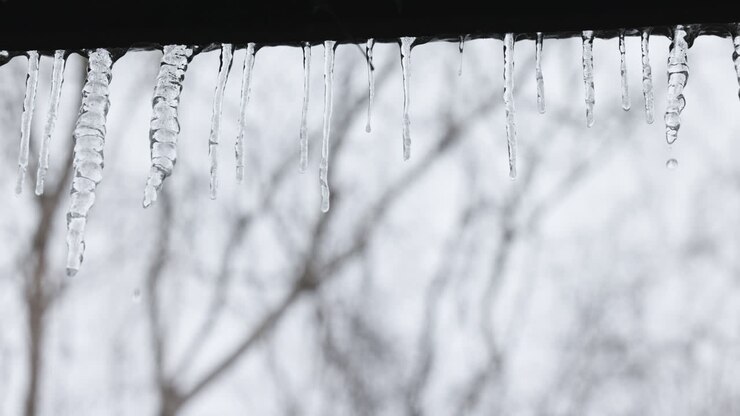 Thin pieces of ice on a window