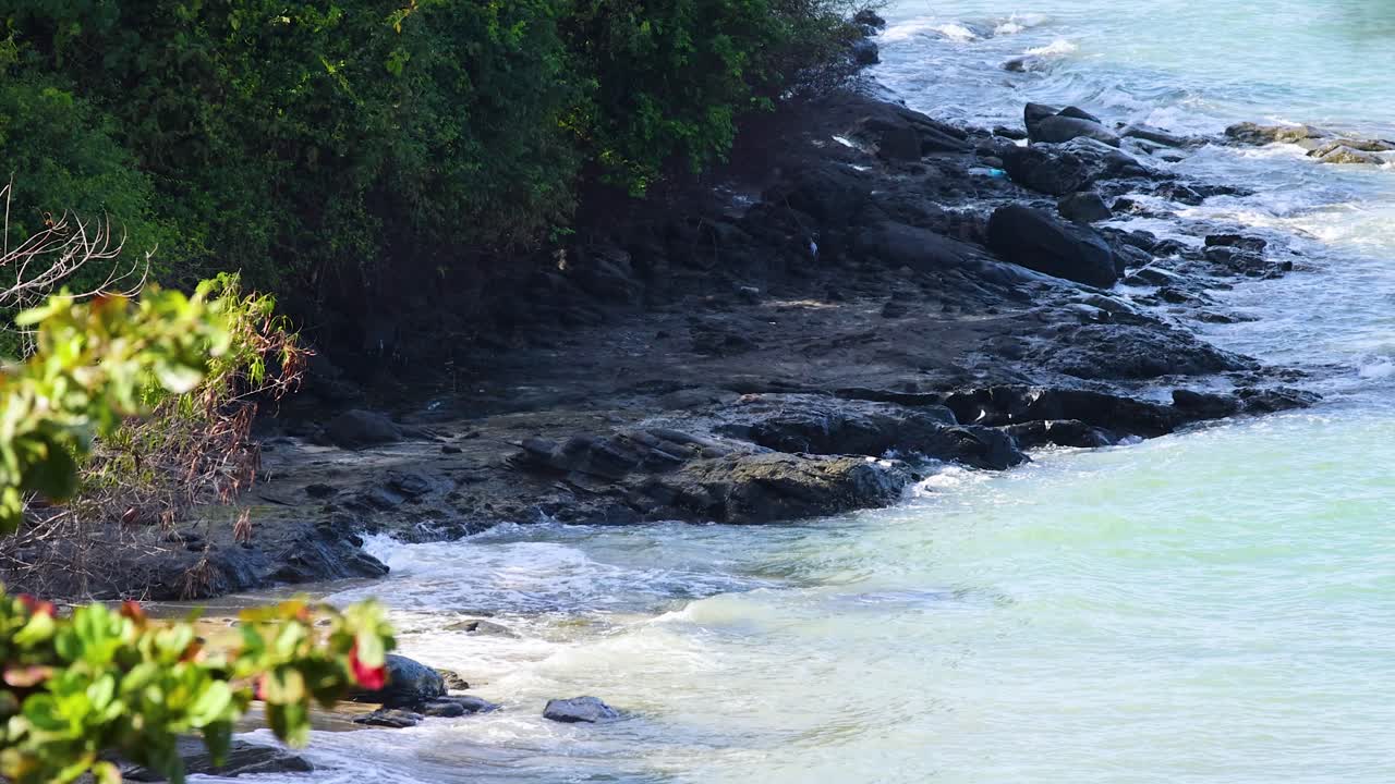De douces vagues lèchent les rivages rocheux dans une scène côtière tranquille. Une végétation luxuriante encadre la vue sous un éclairage doux et naturel.
