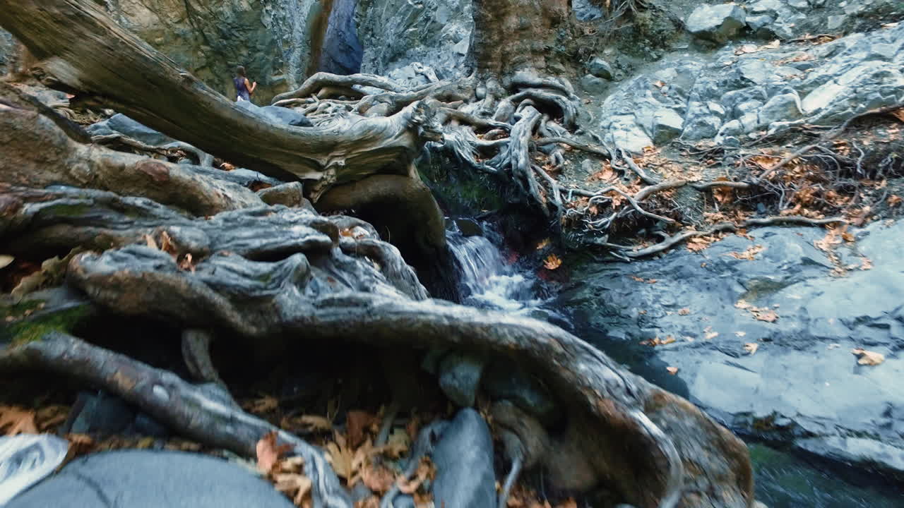 arroyo que corre sobre las raíces de los árboles y las rocas. cascada de agua dulce pura