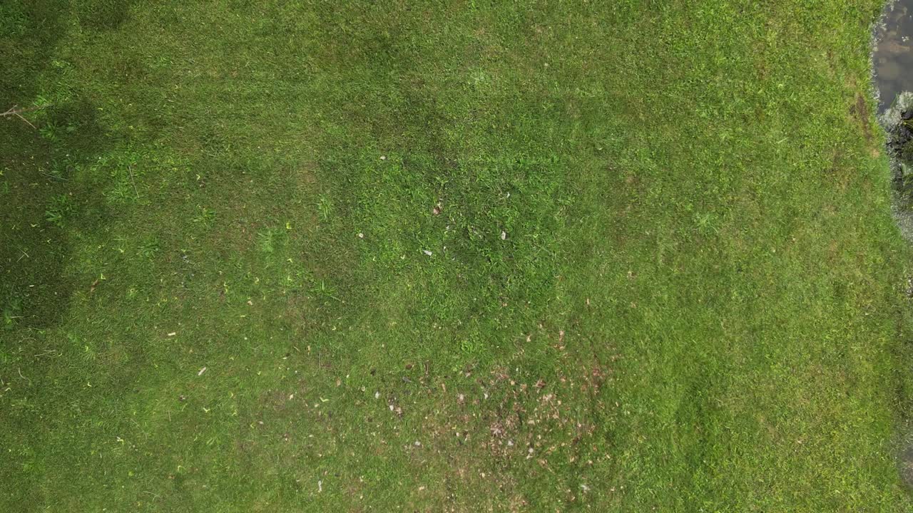 vista superior de un hombre con cortadora de césped corta hierba verde fresca en el patio