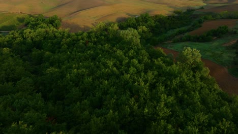 Low-aerial-over-typical-Tuscany-landscape-near-Pienza,-Province-of-Siena,-Italy