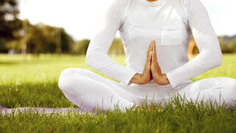 bruneta haciendo yoga en el parque.