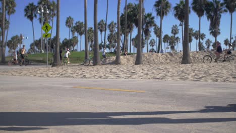 skateboarders and cyclists on venice beach