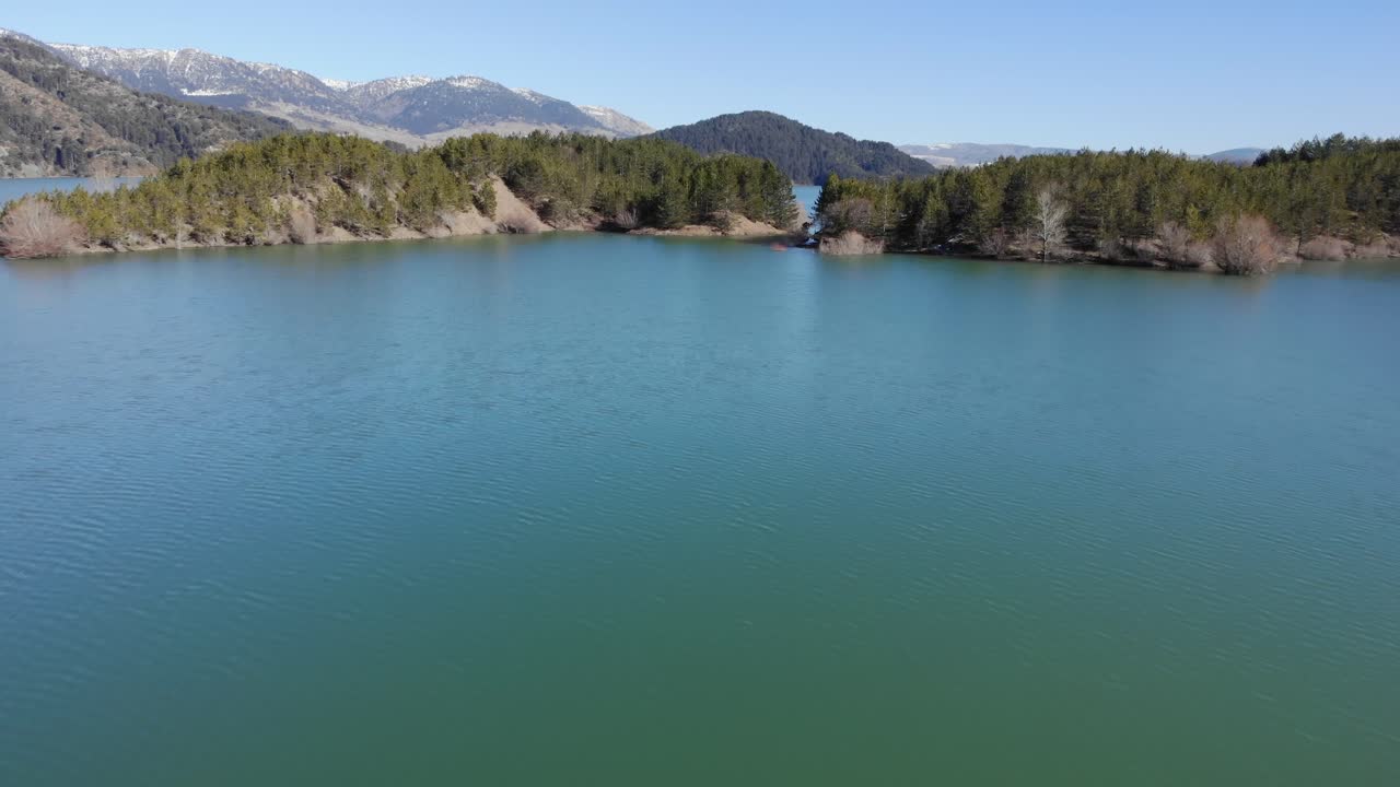 dron sobre arbustos en el agua aoos manantial lago zagori grecia día soleado