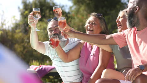 senior friends toasting with wine glasses, enjoying outdoor gathering together
