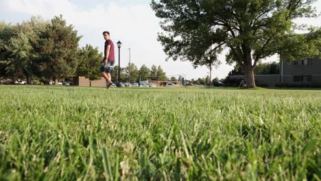 dog running towards young man walking in the green lawn