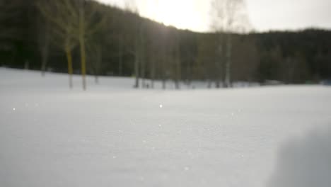 frozen lake in austria with snow