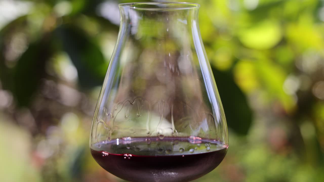 在大自然中将红酒倒入醒酒器