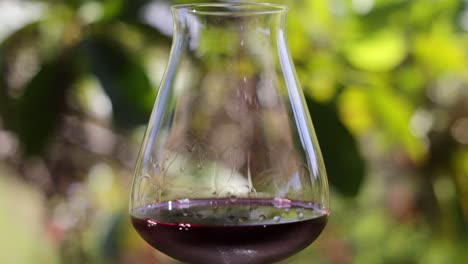 pouring red wine into a decanter in nature