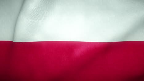 flag of poland waving in the wind