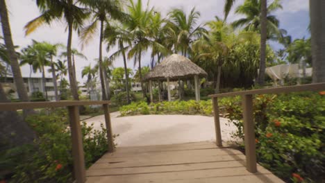 Crossing-a-wooden-bridge-in-a-natural-tropical-landscape