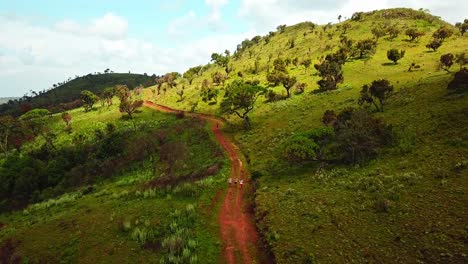 trekking along mountain hike trails towards mount elgon in kenya, east africa. aerial shot