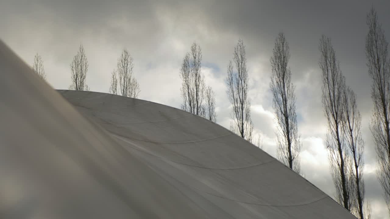 techo del edificio con árboles en el fondo vibraciones oscuras miedo día nublado horror
