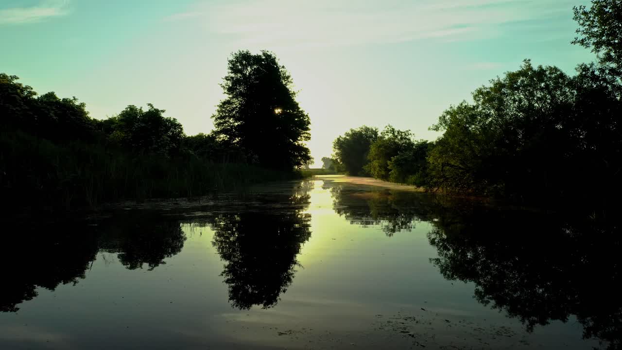호수에 있는 숲의 놀랍도록 낮은 비행 드론 공중 샷