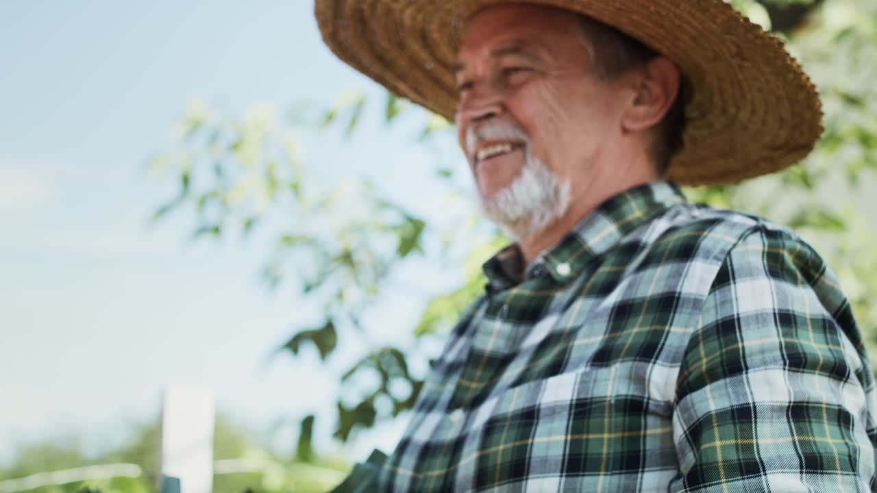 video del agricultor que va con una caja llena de verduras de temporada