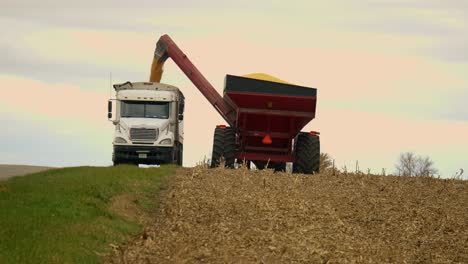 un agricultor del medio oeste cosechando un campo de maíz con una cosechadora, un tractor y un vagón de barrena