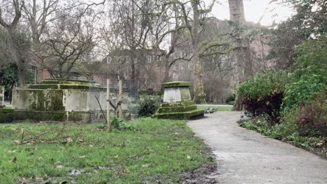 old victorian mossy park in london