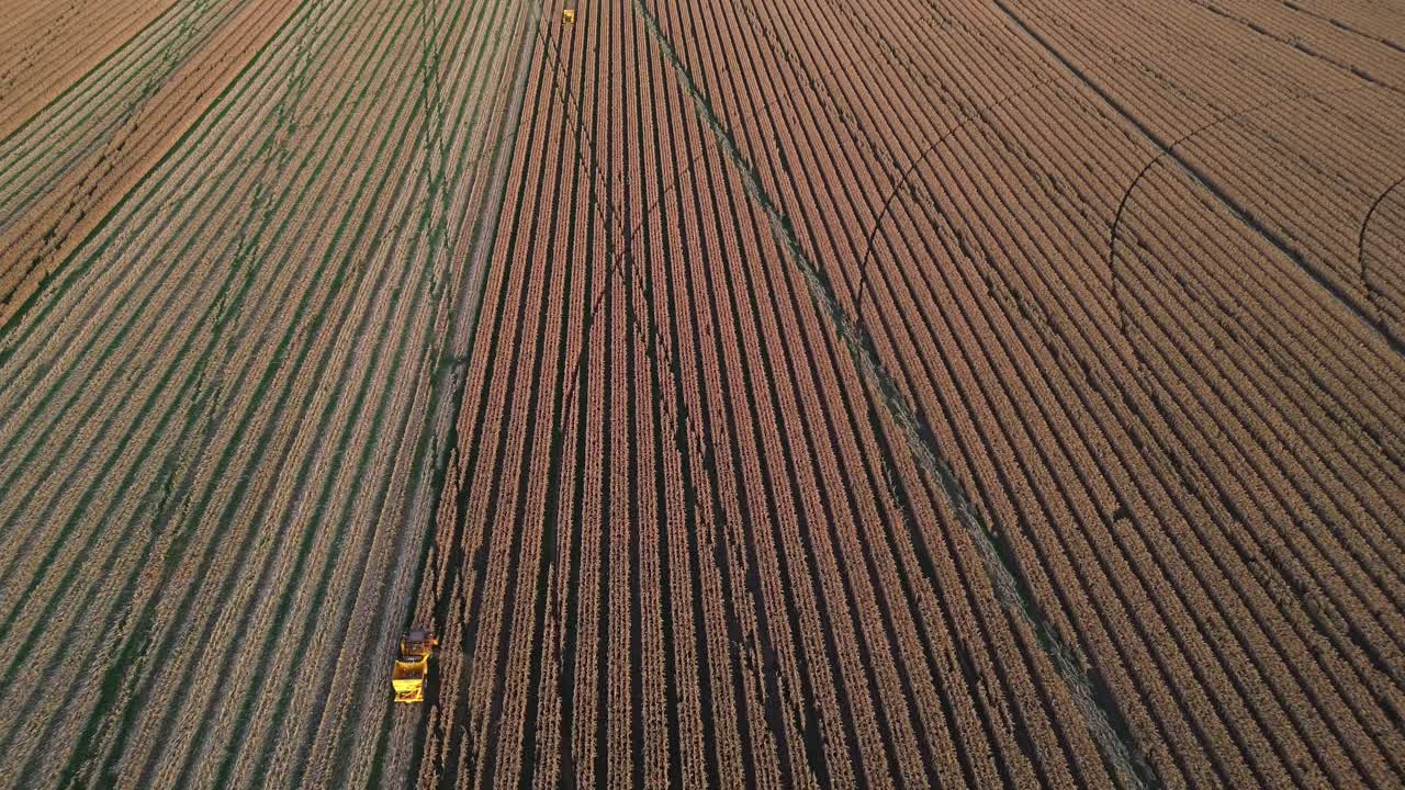 Veduta aerea con drone di un trattore che irrora le colture su vasti terreni agricoli durante il processo di coltivazione