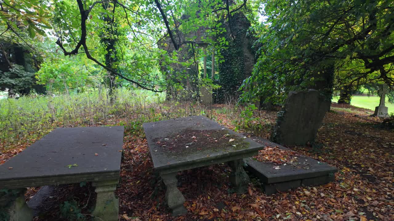 Haunted Ireland forgotten graves in haunted forest derelict church in Irish countryside autumn