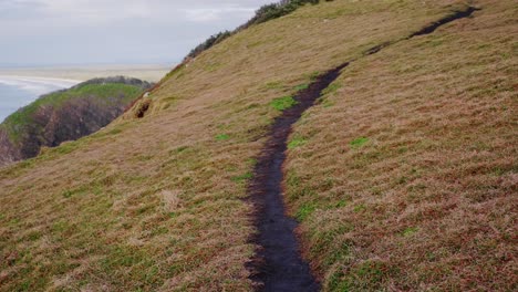 Sendero-En-La-Montaña-Costera-Con-Hierba-Verde-Durante-El-Verano---Cabeza-De-Media-Luna,-Nueva-Gales-Del-Sur,-Australia