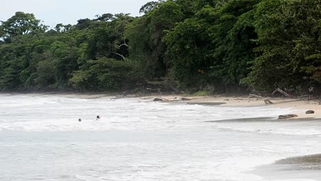 young girl running into the water of the caribbean sea at cahuita national park