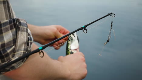 Man-taking-hook-off-from-a-fish,-
mackerel