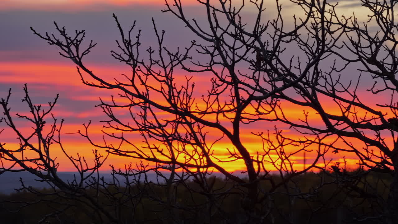 Aerial drone view of a leafless tree silhouetted against a vivid orange and purple sunset sky in rural Moldova