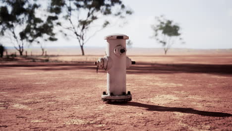 viejo hidrante de fuego oxidado en el desierto