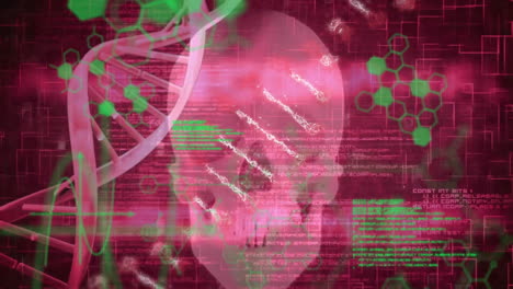 animación del procesamiento de datos científicos y cadena de adn sobre el cráneo humano