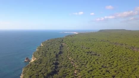 Luftaufnahme-Eines-Großen-Kiefernwaldes-An-Der-Mittelmeerküste-Spaniens-Mit-Einem-Leuchtturm-Im-Hintergrund