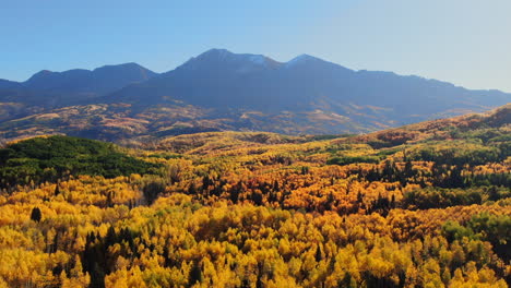 colorful colorado cinematic aerial drone kebler pass crested butte gunnison wilderness autumn fall yellow aspen trees dramatic incredible landscape daylight bluebird rocky peaks downward quick motion