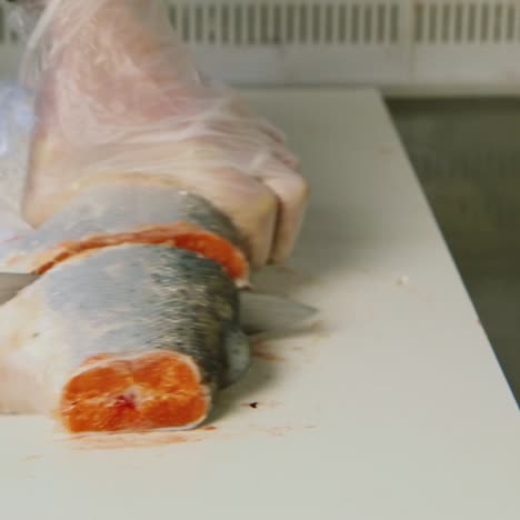 a worker slices pieces of salmon in a canned food factory 1