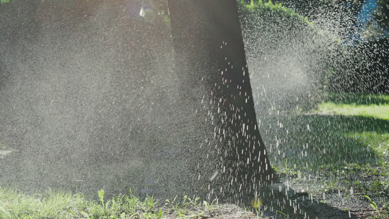 A garden sprinkler sprays water into the air, with sunlight reflecting off the droplets in a green park