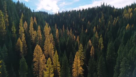 fall drone in the idaho mountains