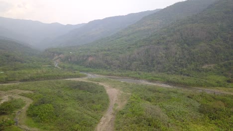 Plantación-De-Café-En-La-Selva-Montañosa-Boliviana