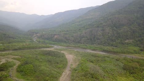 coffee plantation in the bolivian mountain jungle