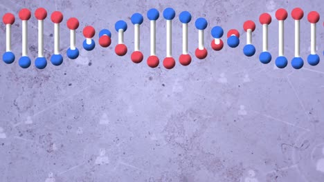 animación de la cadena de adn y las redes de conexiones en fondo azul