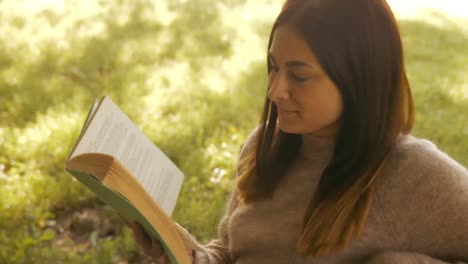 pretty brunette reading in park