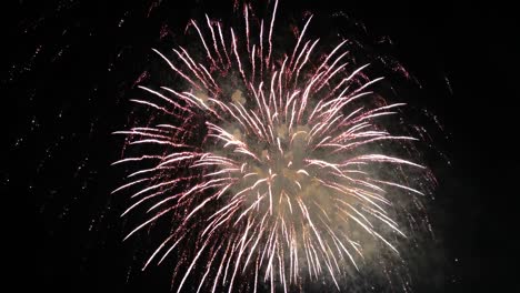 colorful fireworks in the 4k night sky