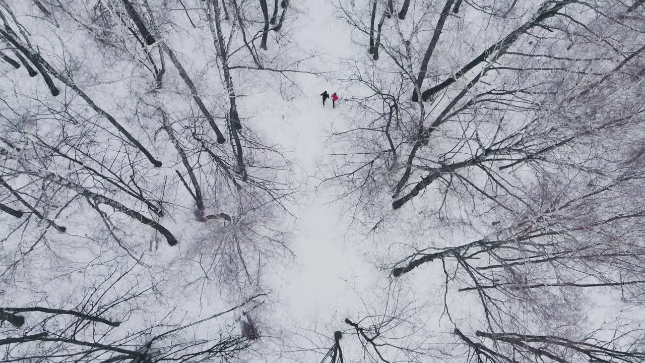 Un uomo e una donna corrono d'inverno nel bosco allenandosi e prendendosi cura della propria salute. Jogging mattutino, stile di vita sano. Vista aerea.