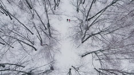 A-man-and-a-woman-run-in-the-winter-through-the-woods-training-and-doing-their-health.-Morning-Jogging,-healthy-lifestyle.-Aerial
