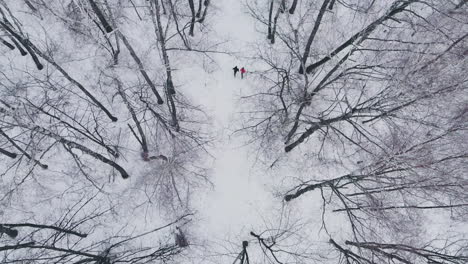 Ein-Mann-Und-Eine-Frau-Laufen-Im-Winter-Durch-Den-Wald,-Trainieren-Und-Trainieren-Ihre-Gesundheit.-Morgenjoggen,-Gesunder-Lebensstil.-Antenne