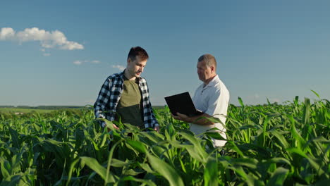 farmers discussing corn field using laptop