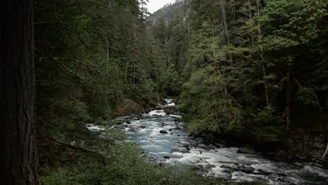 Río-Que-Fluye-A-Través-Del-Bosque-Del-Noroeste-Del-Pacífico.-Lago-Cushman