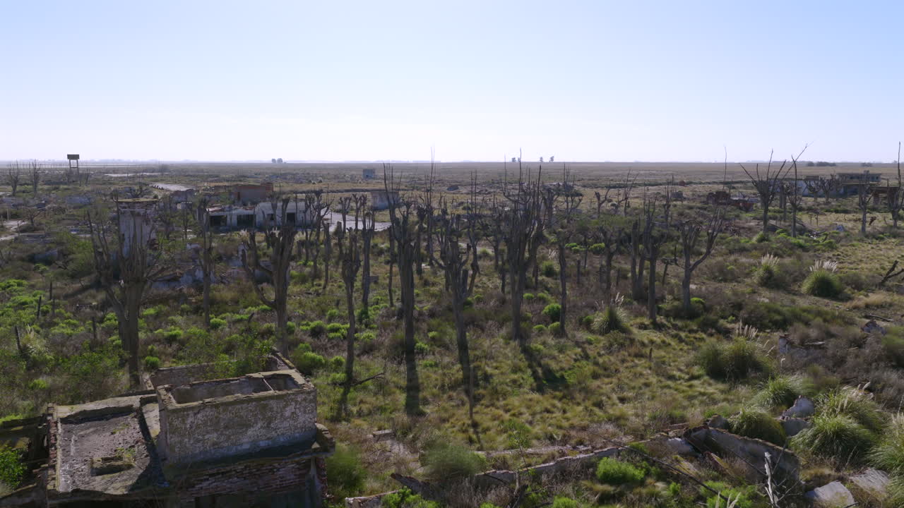 Low-altitude drone glides over vegetated abandoned houses, with horizon shining in the distance
