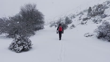 vista trasera de un hombre caminando en las montañas en invierno, cubierto de nieve, usando una mochila