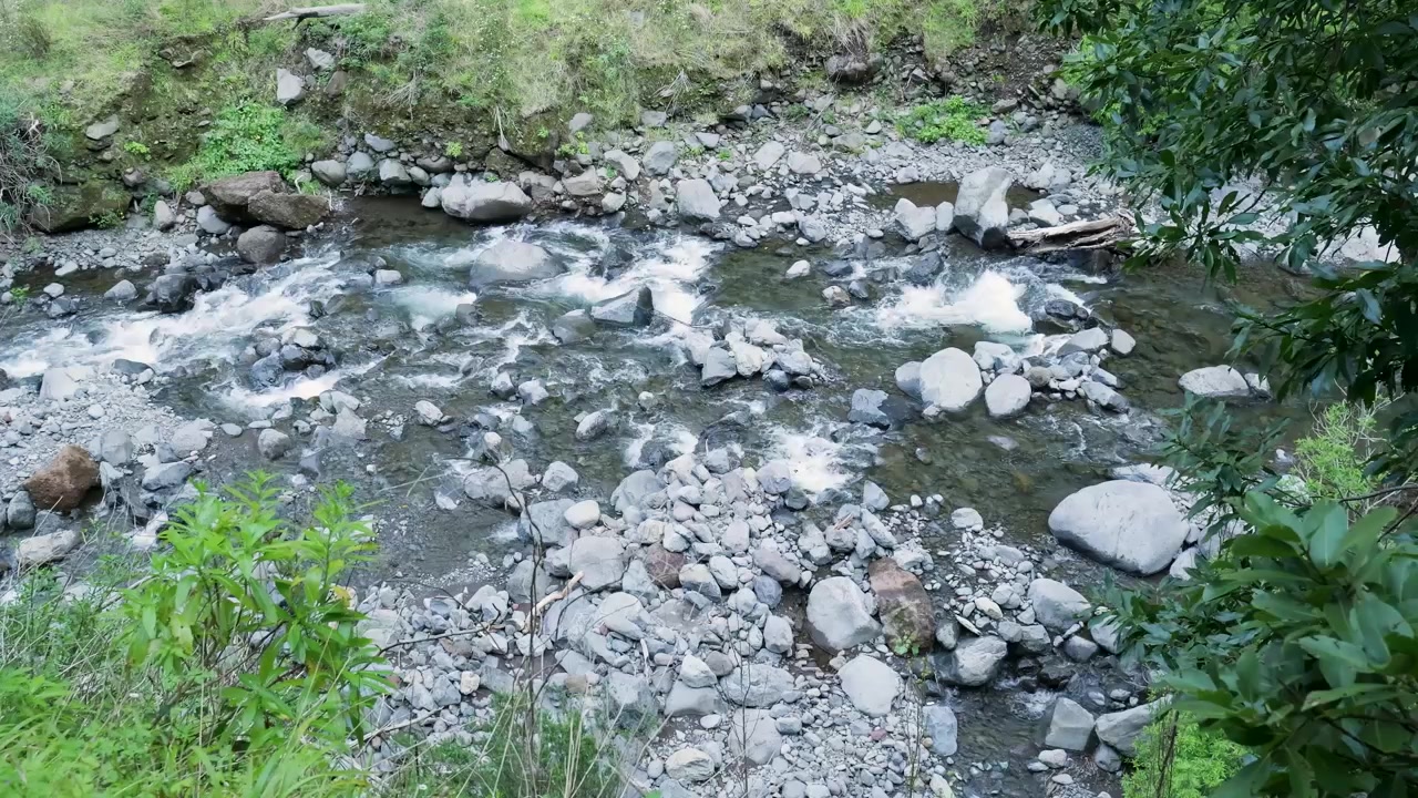 Arroyo de montaña cristalino fluyendo sobre rocas en el bosque