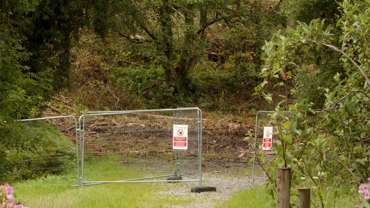 Wide shot of Path closed signs, informing people of felling infected trees with larch disease on the Rhyslyn forest road in the Afan Valley