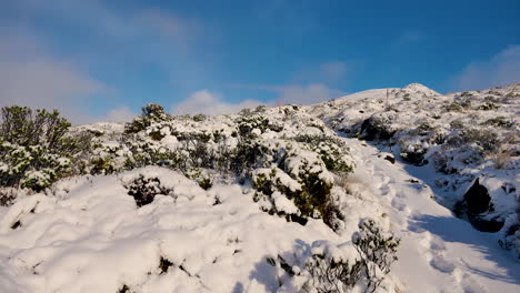 toma panorámica de colinas cubiertas de nieve con arbustos y plantas durante el día soleado y el cielo azul