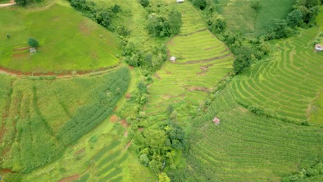 4K-Cinematic-nature-aerial-drone-footage-of-the-beautiful-mountains-and-rice-terraces-of-Ban-Pa-Pong-Piang-at-Doi-Ithanon-next-to-Chiang-Mai,-Thailand-on-a-cloudy-sunny-day